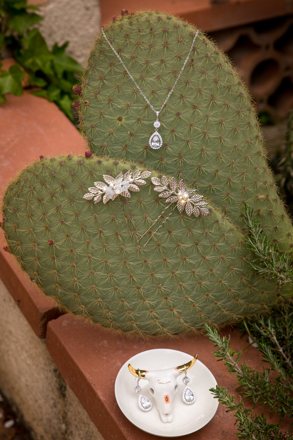 Mariage Cactus